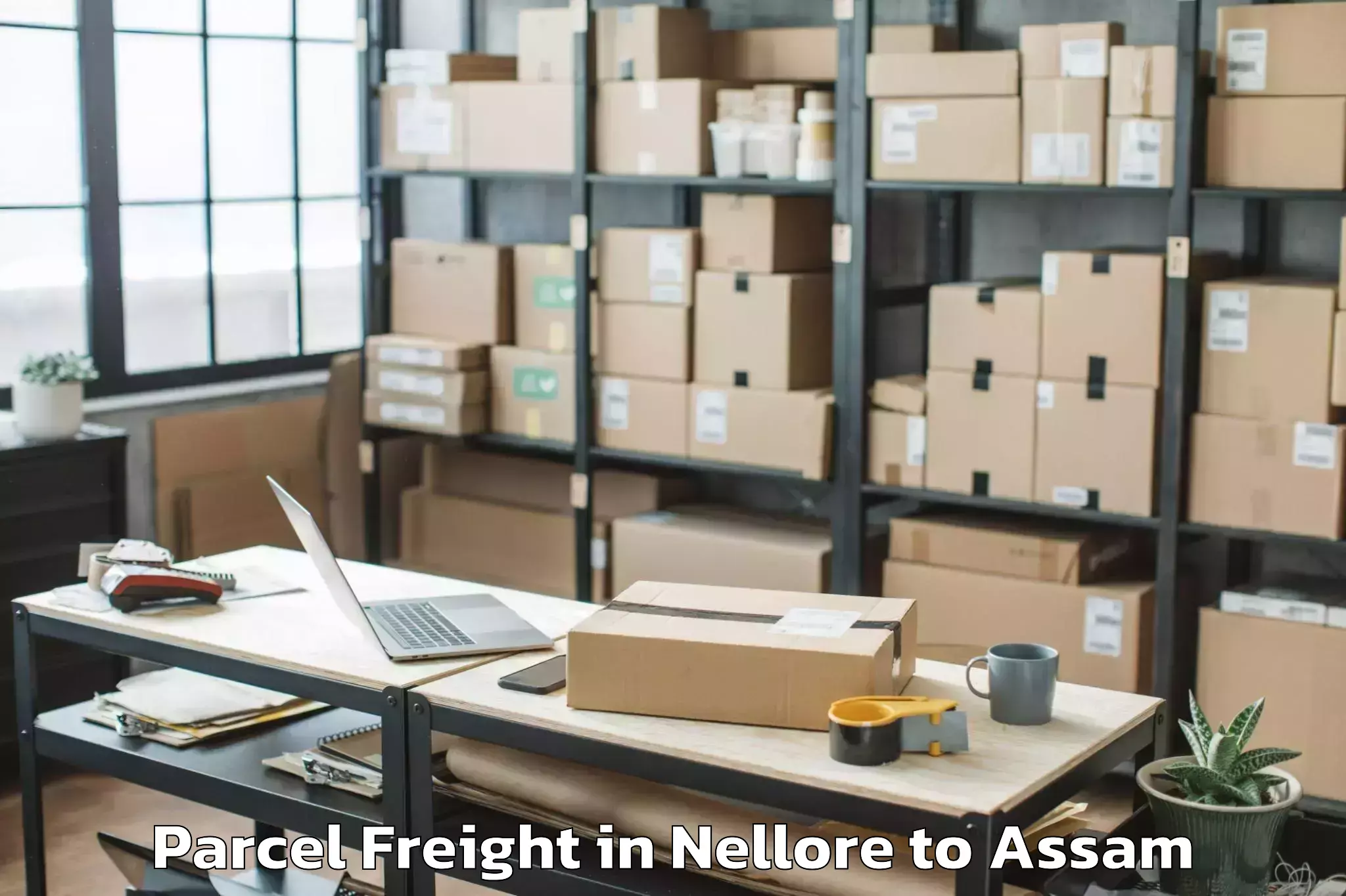 Leading Nellore to Diphu Parcel Freight Provider